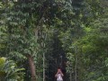 Tn DSC 4077